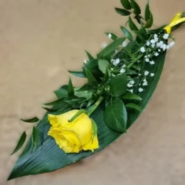 Nachwurfblume Rose Extra