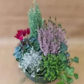Bepflanzte Schale mit Saisonblumen