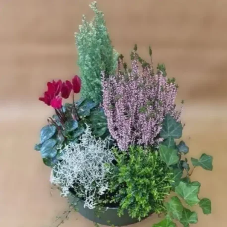 Bepflanzte Schale mit Saisonblumen